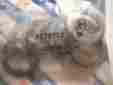 5179703 N A Qty 9 New Holland Part 5179703 N A Qty 9 New Holland Part