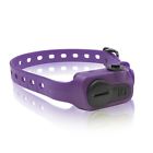 744622050080 Unbranded-generic Dogtra Iq Pet