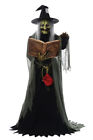 841493029914 Unbranded-generic Spell-speaking Witch Animated
