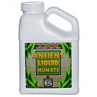 B008di3t2m Great Big Plants Ancient 094922070340