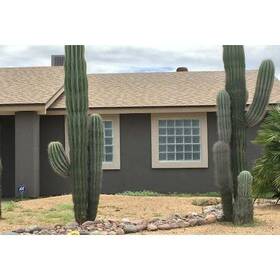 Clearly Secure 722465024017 31 X 11.5 3.125 Inch Frameless Non Vented Home Thick Glass Block Privacy Window