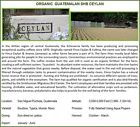 Java Planet Guatemalan Usda Organic Coffee Beans Medium Roast Fair Trade A 854166002114