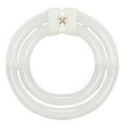 S6596 Satco Pin Circline Lamp Soft White 045923065965