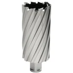 Hougen 3-12256 1-3/4" X 3" "12,000-SERIES" Annular Cutter. Fixed Price $187.99.