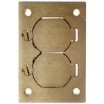 Thomas & Betts P-64-DS Brass Cover Plate With 2 Lift Lids Steel City. Fixed Price $140.00.