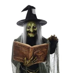 Halloween Spell Speaking Witch Haunted House Life Size Animated Decoration Prop. Fixed Price $299.69.