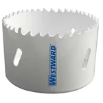 Westward 29VU46 Hole Saw, Bi-metal, 5-1/2 In.. Fixed Price $17.65.