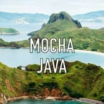 Mocha Java Dark Roast Coffee Beans Whole Fresh Gourmet Bulk 5LB Five Bags. Fixed Price $62.95.