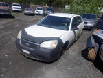 Driver Left Rear Door Glass Hatchback Maxx Fits 04-07 Malibu 32753188. Fixed Price $143.00.