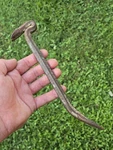 Fulton Kentucky Harry Hicks Livestock Nail Puller Pry Bar Crate Opener Tool. Fixed Price $39.95.