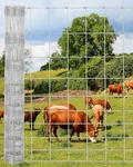 Garvee 15-GAUGE Galvanized Wire Mesh Roll, Rust-resistant Fence For Garden. Fixed Price $105.64.