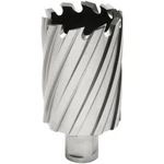 Hougen 12256 1-3/4" X 2" "12,000-SERIES" Annular Cutter. Fixed Price $140.99.
