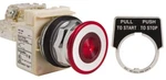 Schneider Electric 9001KR9P1RH13 10A 30MM Push Button. Fixed Price $249.99.
