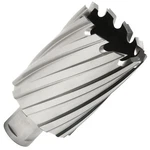 Hougen 12256 1-3/4" X 2" Depth Of Rotabroach Annular Cutter. Fixed Price $148.99.