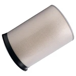 Air Filter Element P181038 For Donaldson PA2363 Heavy Duty Applications. Fixed Price $120.99.
