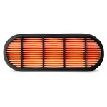 Fleetguard AF26155 Automotive Air Filter Pack, 12 19/32 In. Fixed Price $66.89.