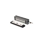 Schlage Electronics M490G Electromagnectic Gate Lock. Fixed Price $951.87.