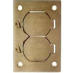 Thomas & Betts P-64-DS Brass Cover Assembly. Fixed Price $45.00.