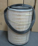 Baldwin Filters PA2425 Diesel Air Fits Ford D5HZ-9601-D, Case 478851C1. Fixed Price $47.97.
