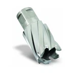 Hougen 12228 7/8-INCH Diameter Rotabroach 2-INCH D.o.c., Piece, Free Shipping. Fixed Price $90.00.