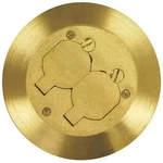 Thomas And Betts New P-60 Cacp Brass Carpet Plate "sealed". Fixed Price $49.95.